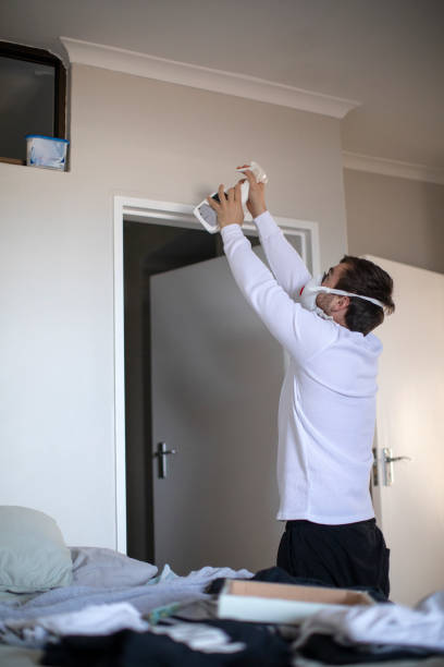 Best Mold Removal for HVAC Installations  in Shelby, MT