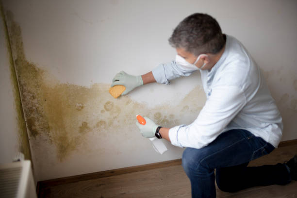 Best Indoor Air Quality Assessment  in Shelby, MT