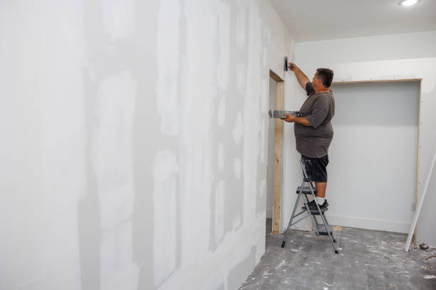 Best Residential Mold Inspection & Testing  in Shelby, MT