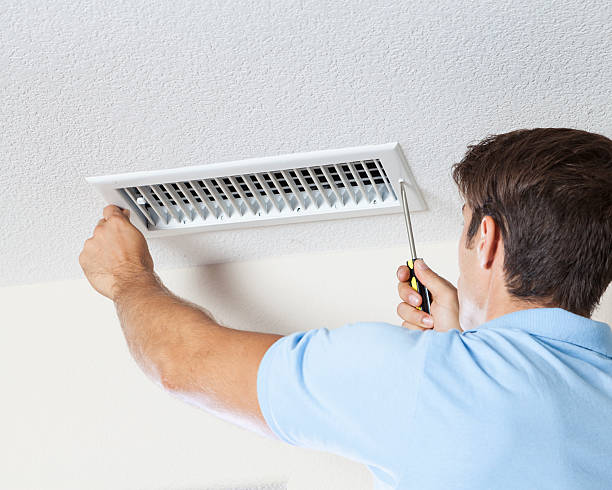 Best Mold Removal for HVAC Installations  in Shelby, MT