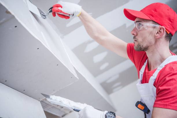 Best Air Quality Testing for Mold Spores  in Shelby, MT